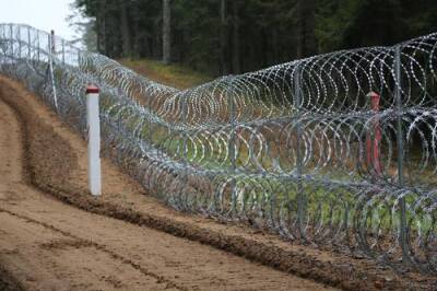 В Эстонии построят 130 км временных заграждений на границе с Россией для предотвращения нелегальной миграции - argumenti.ru - Россия - Эстония