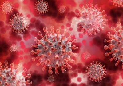 Ученые нашли людей с особо защитой от коронавируса - ya62.ru - Англия