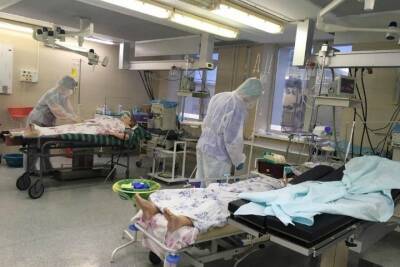 Почти 80 тыс. новосибирцев заболели COVID-19 с начала пандемии - tayga.info