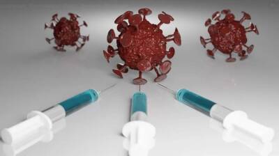 The Lancet Microbe: создана модель эффективности вакцины для новых штаммов коронавируса - inforeactor.ru - Мельбурн