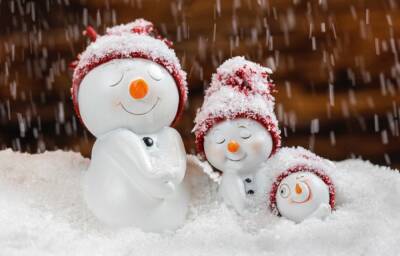 Синоптики рассказали, какой будет погода на Новый год 2022: будет ли снег - inform.zp.ua - Украина - Запорожье - Запорожская обл.