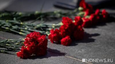 В период пандемии в России умерли четверть ветеранов ВОВ - newdaynews.ru - Россия