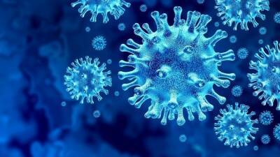 Габриэль Атталь - Во Франции заявили о «стремительном» начале пятой волны коронавируса - 5-tv.ru - Франция