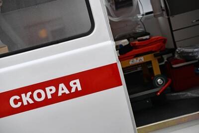 Летевшая в Санкт-Петербург россиянка умерла в самолете - lenta.ru - Санкт-Петербург - Германия - Омск