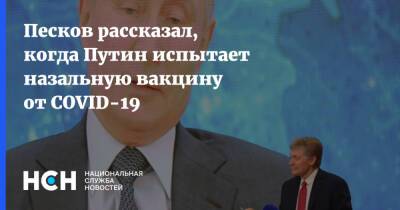 Владимир Путин - Дмитрий Песков - Песков рассказал, когда Путин испытает назальную вакцину от COVID-19 - nsn.fm - Россия
