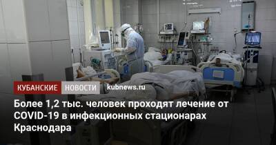 Андрей Алексеенко - Более 1,2 тыс. человек проходят лечение от COVID-19 в инфекционных стационарах Краснодара - kubnews.ru - Краснодарский край - Краснодар