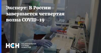 Андрей Исаев - Эксперт: В России завершается четвертая волна COVID-19 - nsn.fm - Россия