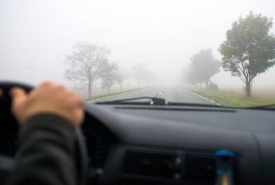 В Запорожской области ожидается сильный туман: водителей предупреждают о плохой видимости на дорогах - inform.zp.ua - Украина - Запорожье - Запорожская обл.