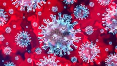 23 ноября в Астраханской области выявили еще 266 зараженных коронавирусом - astrakhanfm.ru - Астраханская обл.