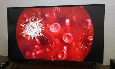 Исследование: Воздействие безвредных коронавирусов повышает иммунитет против SARS-CoV-2 - ufacitynews.ru