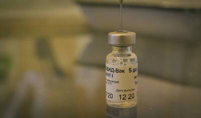 В Башкирию поступило более 78 тысяч доз однокомпонентной вакцины «Спутник Лайт» - mkset.ru - республика Башкирия
