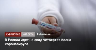 Анна Попова - В России идет на спад четвертая волна коронавируса - kubnews.ru - Россия