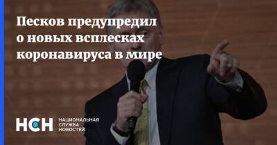 Владимир Путин - Дмитрий Песков - Песков предупредил о новых всплесках коронавируса в мире - nsn.fm - Россия
