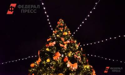 Курганцы смогут оживить новогодние украшения через QR-код - fedpress.ru - Курганская обл.