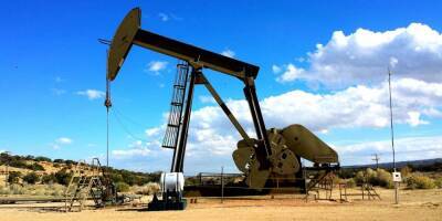 Джон Байден - Цена на нефть «неправильно» отреагировала на выброс США нефти из стратегических запасов - nep.co.il - Сша