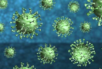 Вакцина для клеточного иммунитета против COVID-19 прошла первую фазу испытаний - online47.ru