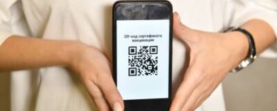 Александр Гинцбург - В российском правительстве обсудили введение QR-кодов для неофициально переболевших - runews24.ru - Россия