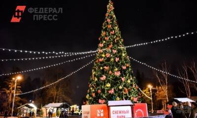 В Новосибирске отменили новогодние гуляния в центре города - fedpress.ru - Новосибирск