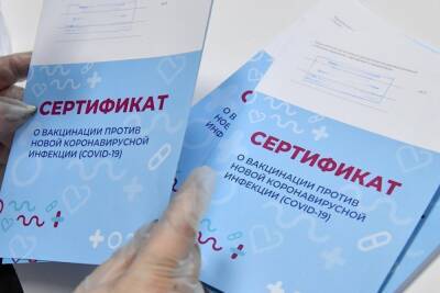 В Иванове продавали поддельные справки о вакцинации - mkivanovo.ru