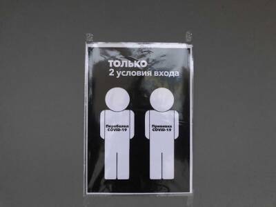 Кембриджский университет: Социальное дистанцирование бессмысленно без маски - ufacitynews.ru