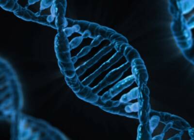 Генетик Лильин развенчал миф о негативном влиянии коронавируса на ДНК - actualnews.org