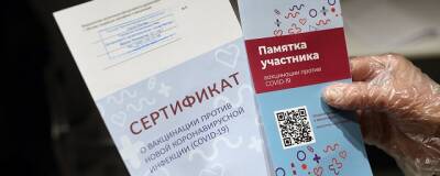 Депутаты Госдумы не рассмотрят законопроекты об обязательных QR-кодах в декабре 2021 года - runews24.ru