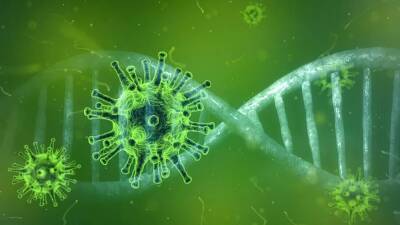 Ученые обнаружили сарбековирус, родственный вызвавшему пандемию коронавирусу - newdaynews.ru - Англия