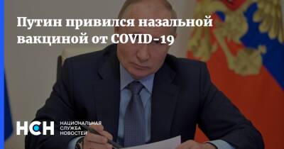 Владимир Путин - Путин привился назальной вакциной от COVID-19 - nsn.fm