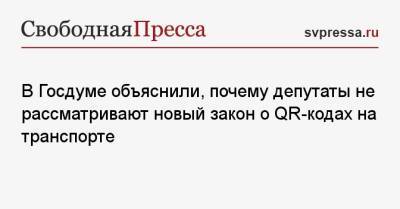 Татьяна Соломатина - В Госдуме объяснили, почему депутаты не рассматривают новый закон о QR-кодах на транспорте - svpressa.ru