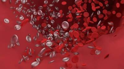 Ученые заявили, что коронавирус нарушает свертываемость крови и приводит к тромбозу - inforeactor.ru