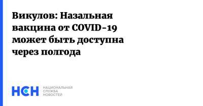 Георгий Викулов - Викулов: Назальная вакцина от COVID-19 может быть доступна через полгода - nsn.fm