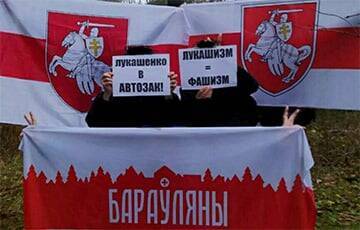 «Жыве Фландрыя!» Белорусы провели ряд акций протеста - charter97.org - Белоруссия