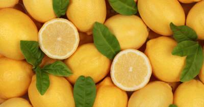 Диетолог раскрыл опасность частого употребления лимона - ren.tv