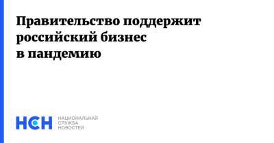 Борис Титов - Правительство поддержит российский бизнес в пандемию - nsn.fm - Россия