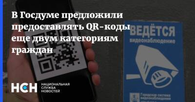 В Госдуме предложили предоставлять QR-коды еще двум категориям граждан - nsn.fm - Россия