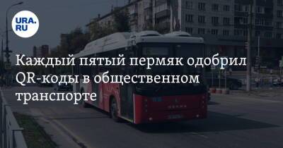 Каждый пятый пермяк одобрил QR-коды в общественном транспорте - ura.news - Пермь - Краснодар