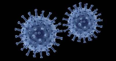 Франсуа Балл - В Африке обнаружили новый штамм коронавируса, который может оказаться опаснее всех вариантов Дельты и мира - cursorinfo.co.il - Англия - Гонконг - Юар - Ботсвана