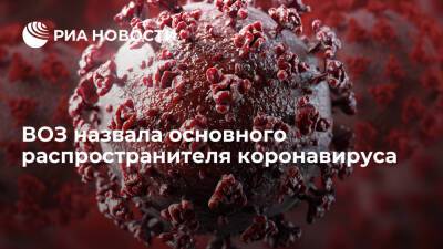 Елизавета Исакова - ВОЗ назвала непривитых людей главным распространителем коронавируса - ria.ru