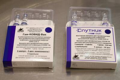 В Дагестан поступила крупная партия вакцин «Спутник V» и «Спутник лайт» - etokavkaz.ru - республика Дагестан