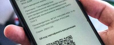В ЗакС Петербурга рекомендовали к рассмотрению парламента федеральный законопроект о QR-кодах - runews24.ru - Санкт-Петербург