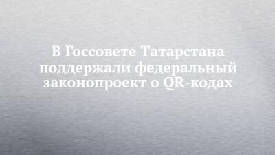В Госсовете Татарстана поддержали федеральный законопроект о QR-кодах - chelny-izvest.ru - Россия - республика Татарстан