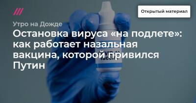 Остановка вируса «на подлете»: как работает назальная вакцина, которой привился Путин - tvrain.ru