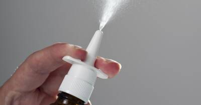 Назальный спрей против COVID-19: Индия приступила к испытаниям - dsnews.ua - Индия