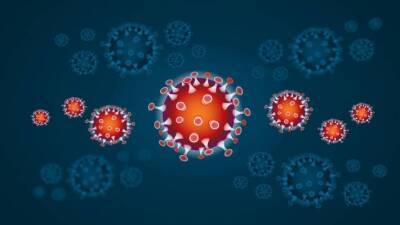 Инфекционист Лариса Позднякова заявила, что коронавирус COVID-19 «молодеет» - inforeactor.ru