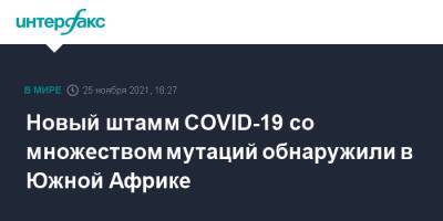 Новый штамм COVID-19 со множеством мутаций обнаружили в Южной Африке - interfax.ru - Москва - Гонконг - Юар - Ботсвана