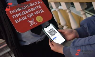 Прикамские депутаты рассмотрели закон о QR-кодах - fedpress.ru - Пермь