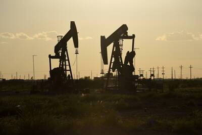 Нефти предсказали рост до 100 долларов за баррель - lenta.ru - Дания