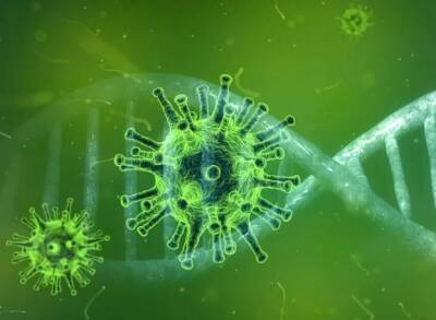 ВОЗ созывает срочное заседание из-за появления нового опасного штамма коронавируса - ya62.ru - Юар - Ботсвана