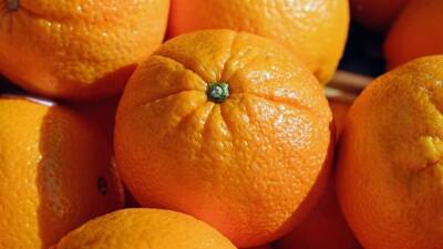 Al Arabiya: растительная пища с витамином С поможет организму после вакцинации от COVID-19 - inforeactor.ru