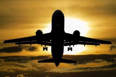 Джавид Саджид - Великобритания отменила авиасообщение с рядом стран Африки из-за нового штамма COVID-19 - mk.ru - Англия - Юар - Зимбабве - Лесото - Намибия - Ботсвана